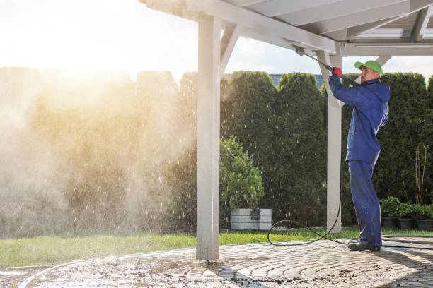 Best Solar Panel Cleaning  in Pine Air, FL